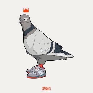 Meet your Posher, Erek